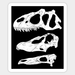 Allosaurus Diplodocus Stegosaurus fossil skulls Sticker